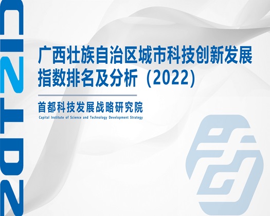 欧美日bb【成果发布】广西壮族自治区城市科技创新发展指数排名及分析（2022）